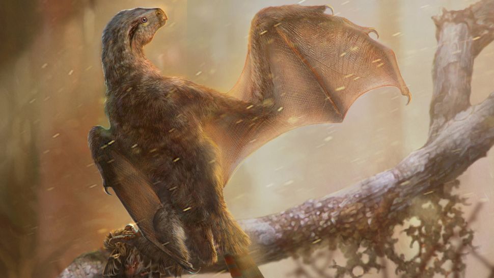 smallest-dinosaur