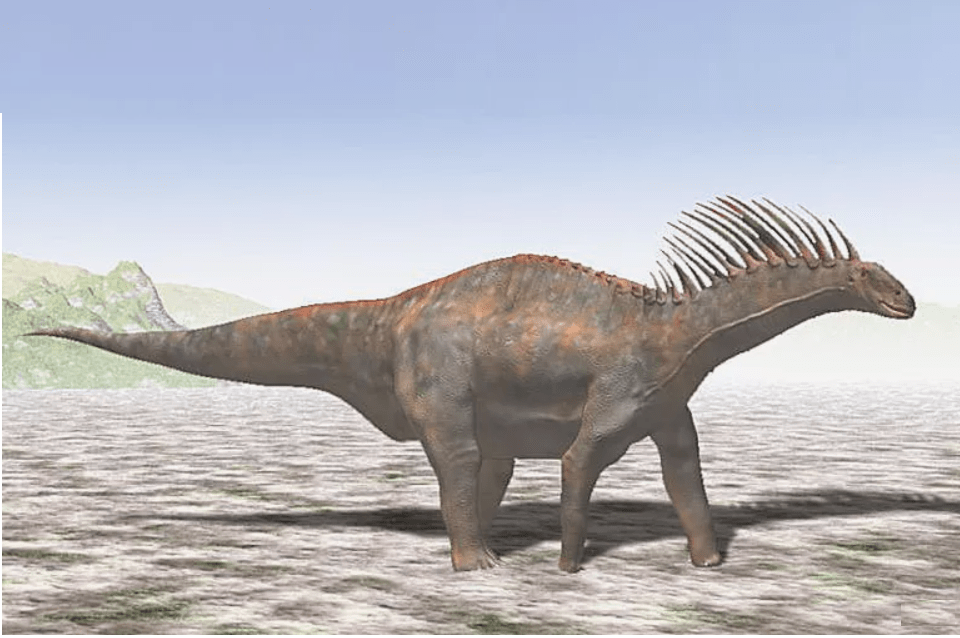 Amargasaurus
