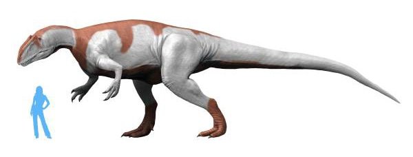  Yangchuanosaurus shangyouensis by Nobu Tamura.jpg