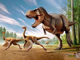 Did Dinosaurs Really Have Feathers