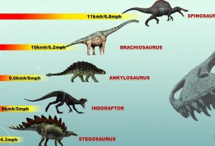 How Fast Could Dinosaurs Run
