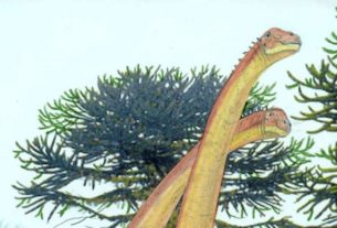 argentinosaur