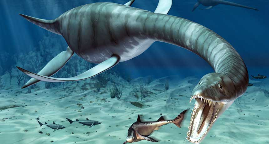 Marine and aquatic dinosaurs