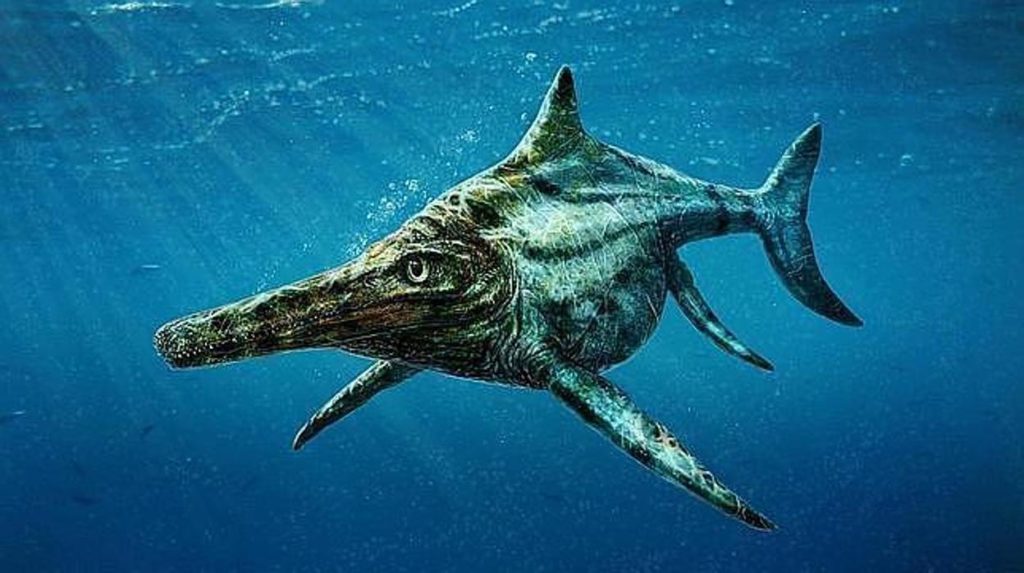 Ichthyosaur