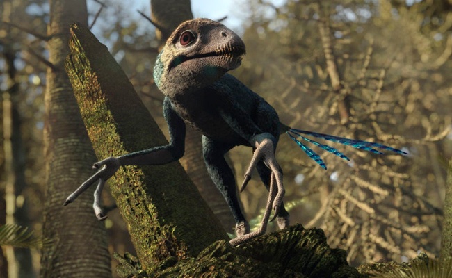 Epidexipteryx