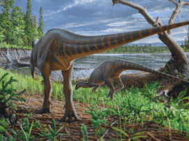 Diluvicursor life restoration
