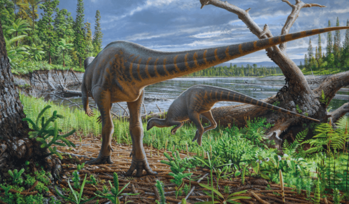 Diluvicursor life restoration
