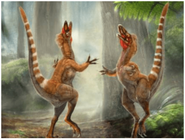 Dinosaurs were cold too