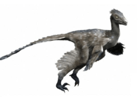 dinosaurs very smart