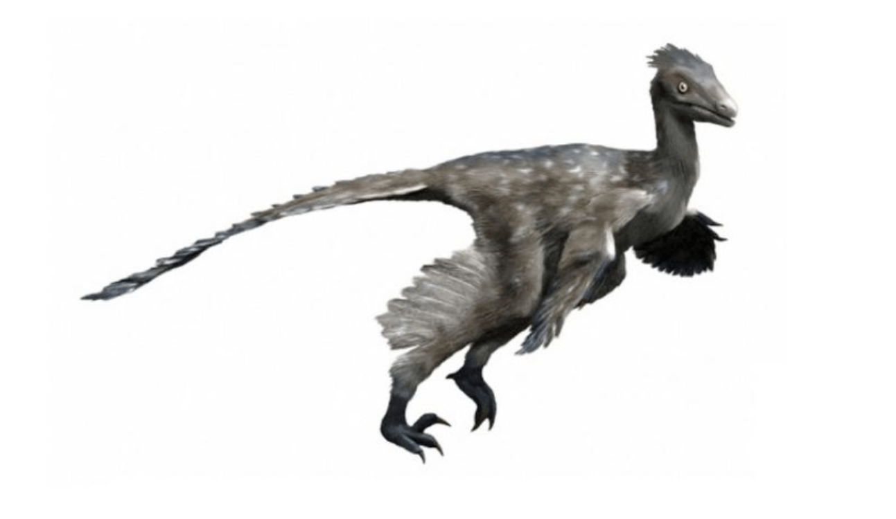 dinosaurs very smart